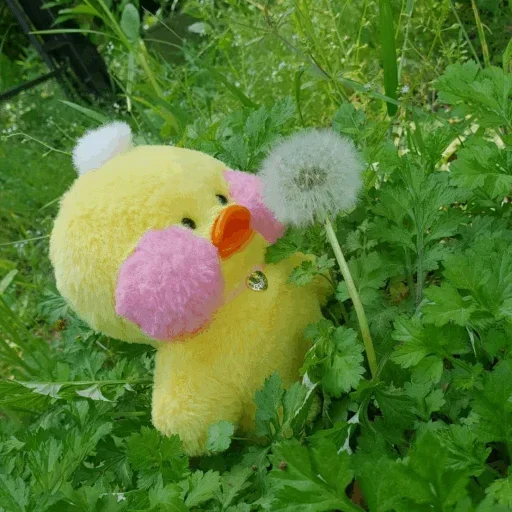 😐 Стикер «Ducky Dolly» для Telegram