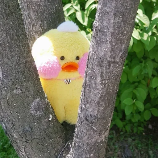 😐 Стикер «Ducky Dolly» для Telegram