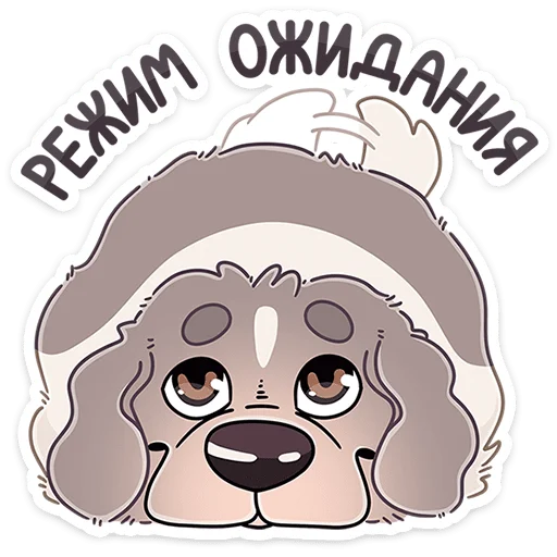 🐶 Стикер «Дуняша» для Telegram
