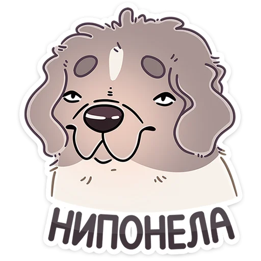 🐶 Стикер «Дуняша» для Telegram