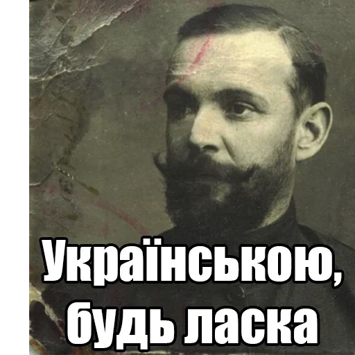 🇺🇦 Стикер «Дурак Онлайн» для Telegram