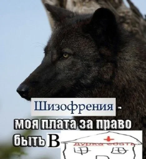 💉 Стикер «Дурка ебать» для Telegram