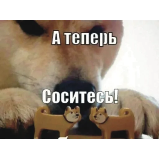 😏 Стикер «дурка» для Telegram
