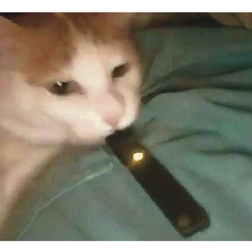 🚬 Стикер «дурка» для Telegram