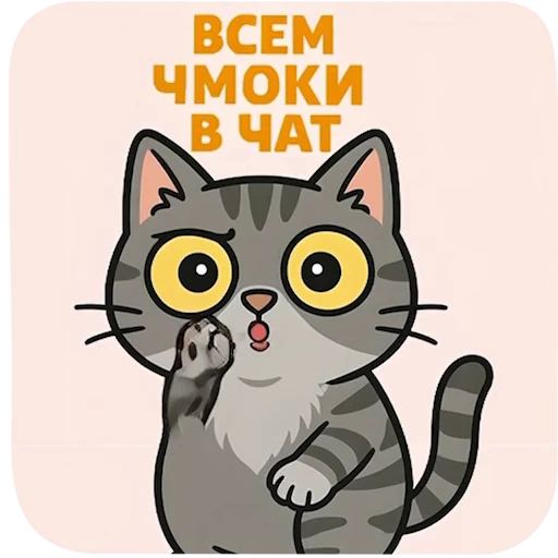 😽 Стикер «Durovs Cat» для Telegram