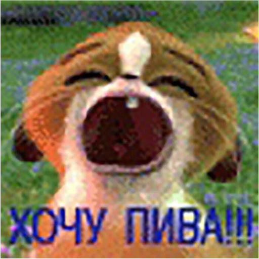 🍺 Стикер «2мб ярости» для Telegram
