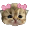 🐱 Эмодзи «𝜗𝜚» для Telegram