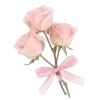🌷 Эмодзи «𝜗𝜚» для Telegram
