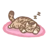 Стикер 39 200 Cats - котики