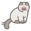 Стикер 53 200 Cats - котики