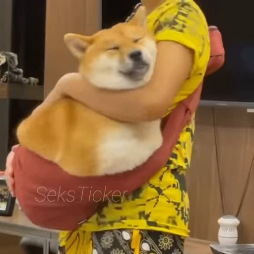 🪥 Стикер «Gif Memes» для Telegram