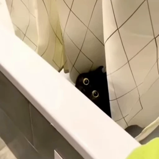 🪥 Стикер «Gif Memes» для Telegram