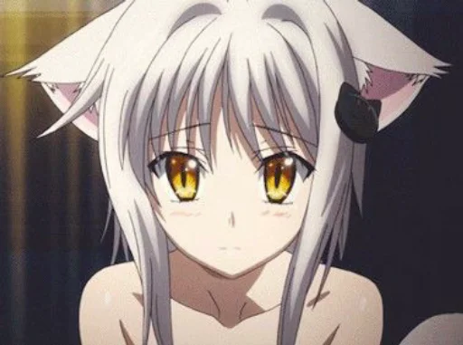 😽 Стикер «DxD -» для Telegram