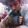 Стикер 6 Dylan Obrien