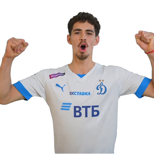 🇺🇾 Стикер «Dynamo-22/23» для Telegram
