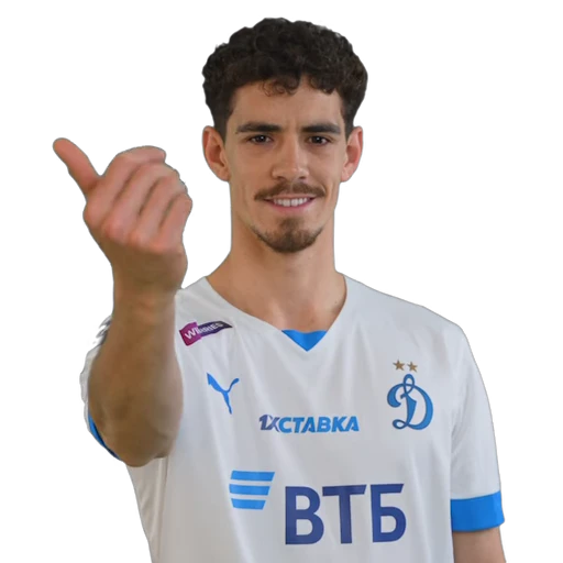 🇺🇾 Стикер «Dynamo-22/23» для Telegram