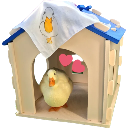 🏠 Стикер «Гуси» для Telegram