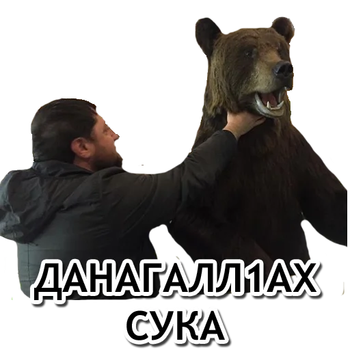 🤛 Стикер «Администрация Буйнакск» для Telegram