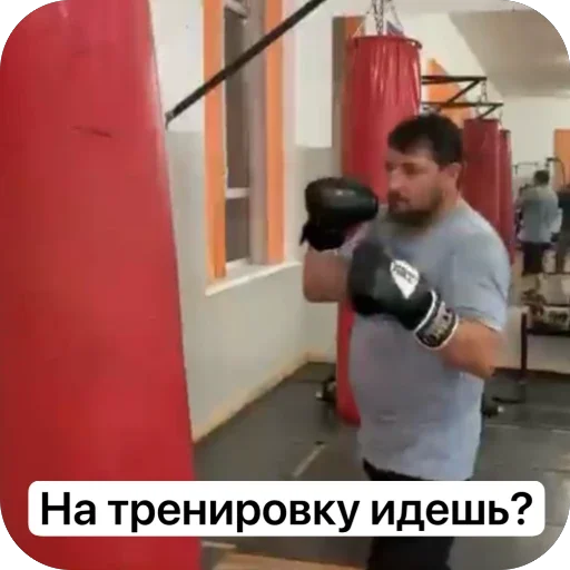 🫥 Стикер «Администрация Буйнакск» для Telegram