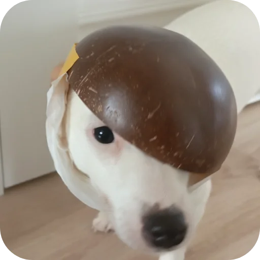 🐶 Стикер «Джерри» для Telegram