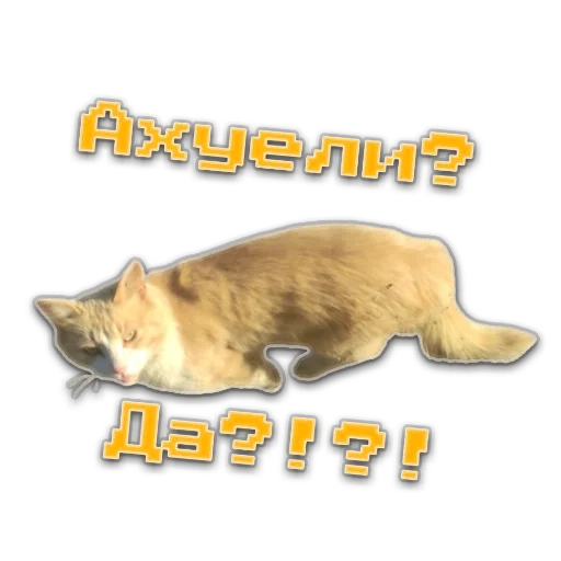 😂 Стикер «пиштя» для Telegram
