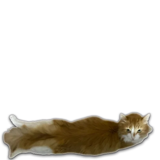 😸 Стикер «пиштя» для Telegram