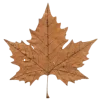 Стикер 11 Brown #color #brown #cute #food