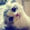 Стикер 4 Ugly #style #random #status