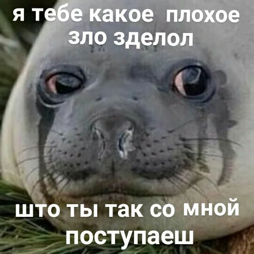 🥺 Стикер «EarnDevison» для Telegram