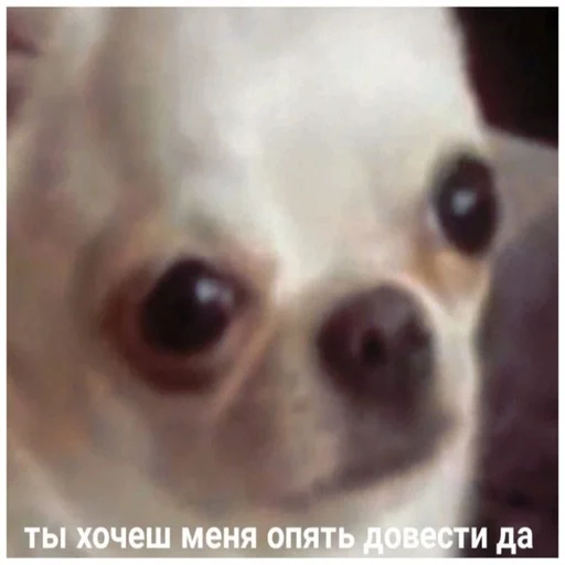 😕 Стикер «EarnDevison» для Telegram