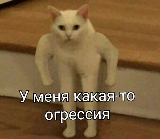 😬 Стикер «EarnDevison» для Telegram