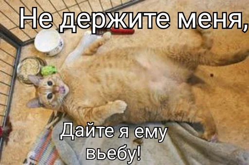 👺 Стикер «EarnDevison» для Telegram