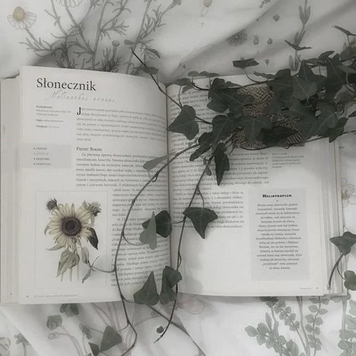 📗 Стикер «BEVERLY» для Telegram