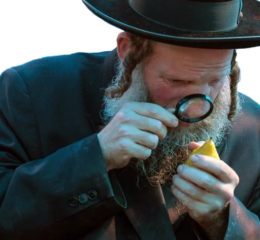 🤨 Стикер «happyjew» для Telegram