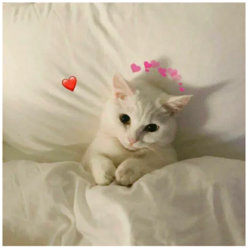 🤯 Стикер «Хз» для Telegram
