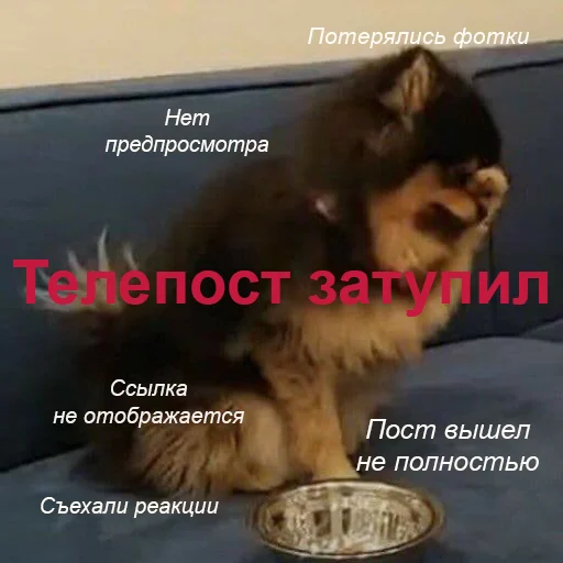 🤦‍♀️ Стикер «Ебазия» для Telegram