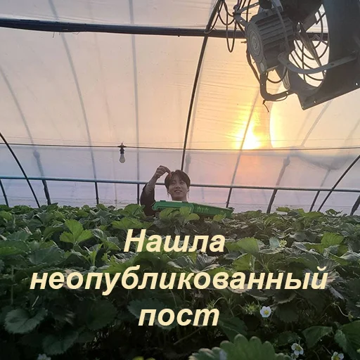 🍓 Стикер «Ебазия» для Telegram