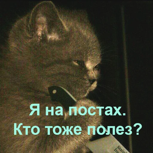 🔪 Стикер «Ебазия» для Telegram