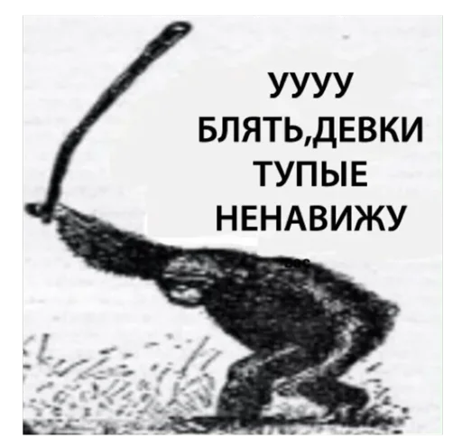 😡 Стикер «ebasosinaotsnuwix» для Telegram