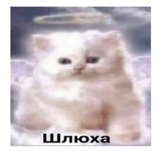 😇 Стикер «ebasosinaotsnuwix» для Telegram