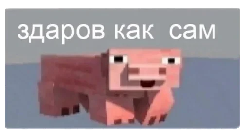 🐷 Стикер «ebasosinaotsnuwix» для Telegram