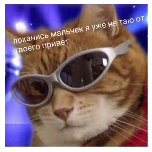 😎 Стикер «ebasosinaotsnuwix» для Telegram