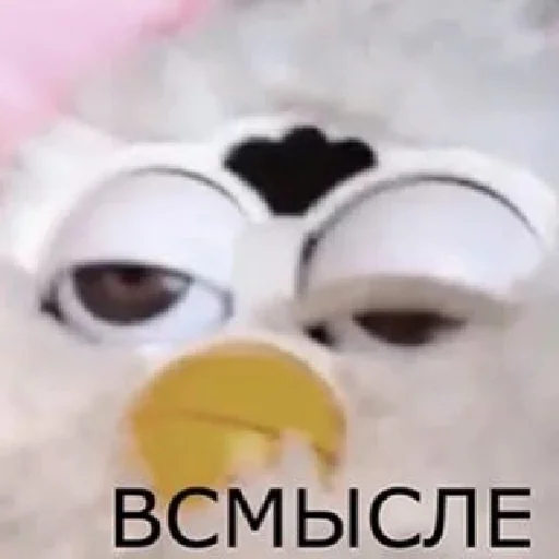 😕 Стикер «akb.fuckers» для Telegram
