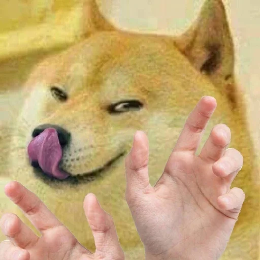 🤚 Стикер «akb.fuckers» для Telegram