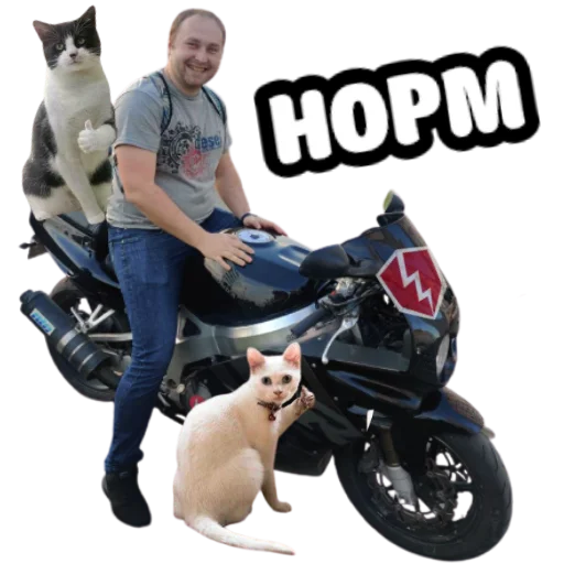 👍 Стикер «ебать ну и название» для Telegram