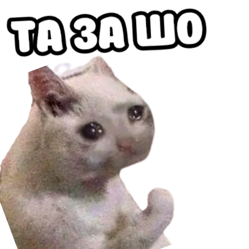 😩 Стикер «ебать ну и название» для Telegram
