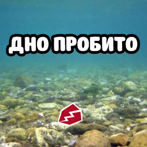 😐 Стикер «ебать ну и название» для Telegram