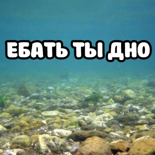 😉 Стикер «ебать ну и название» для Telegram