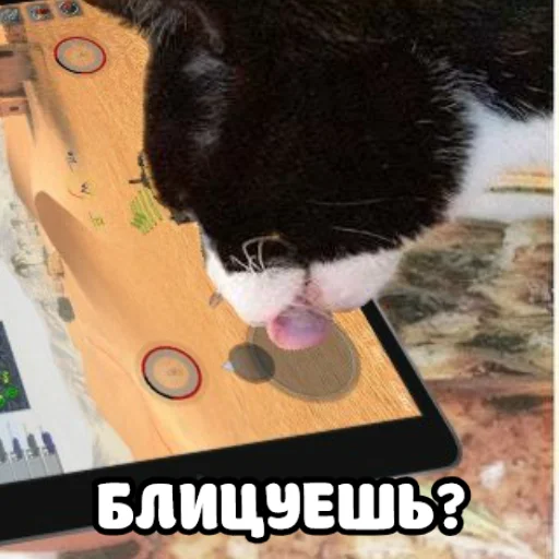 🤔 Стикер «ебать ну и название» для Telegram