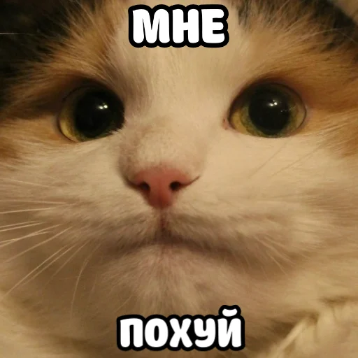 👌 Стикер «ебать ну и название» для Telegram